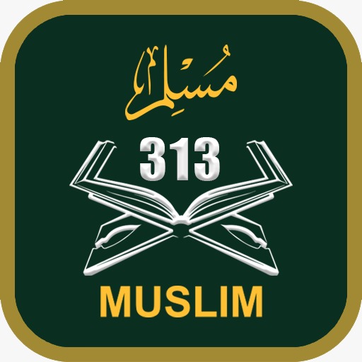 Muslim 313 Logo